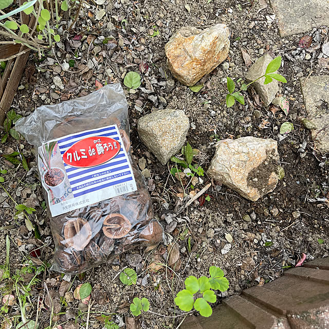 kikiさんの実例写真