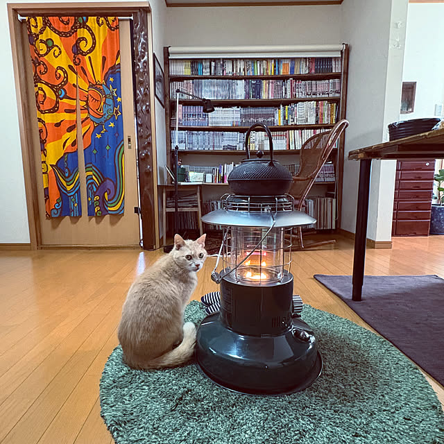 mikan161さんの実例写真