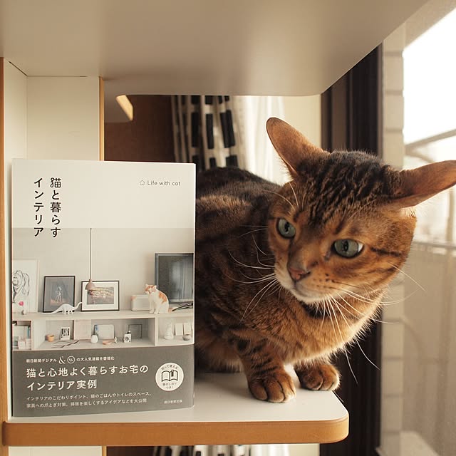valekさんの実例写真