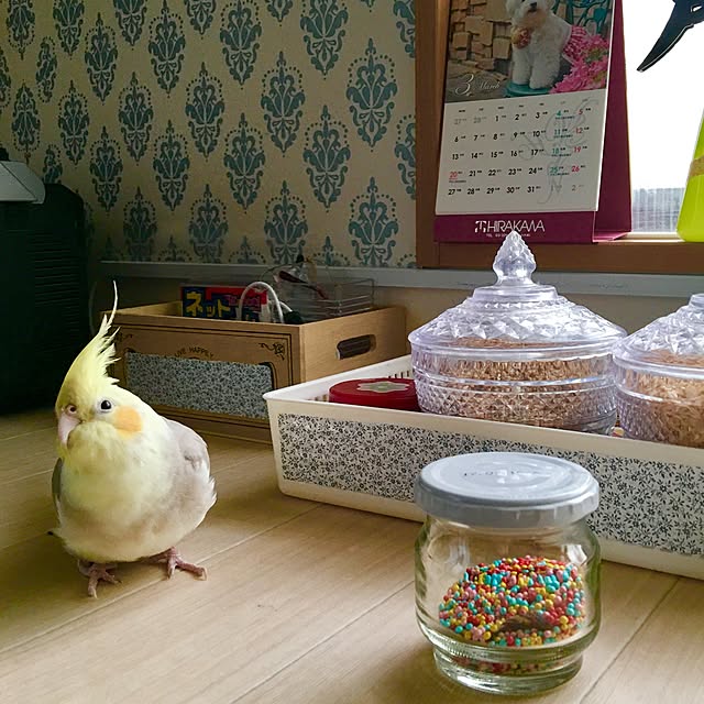 puriyuzuさんの実例写真