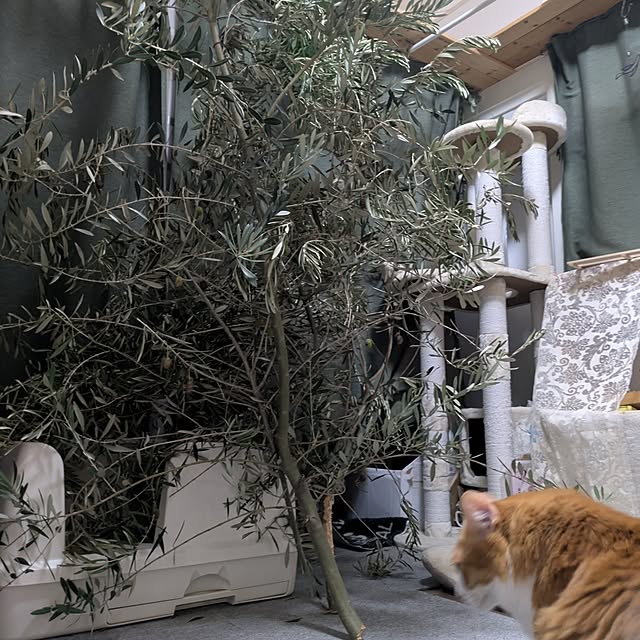 mori_6_12さんの部屋