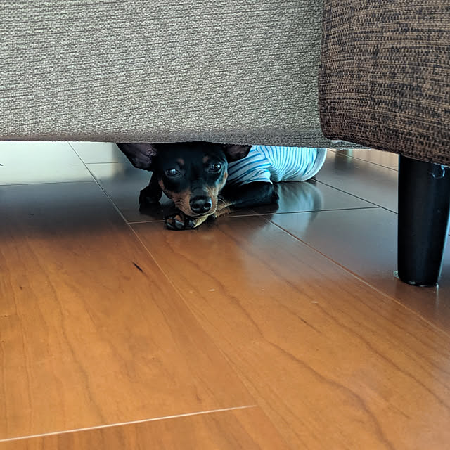 shizuponさんの実例写真