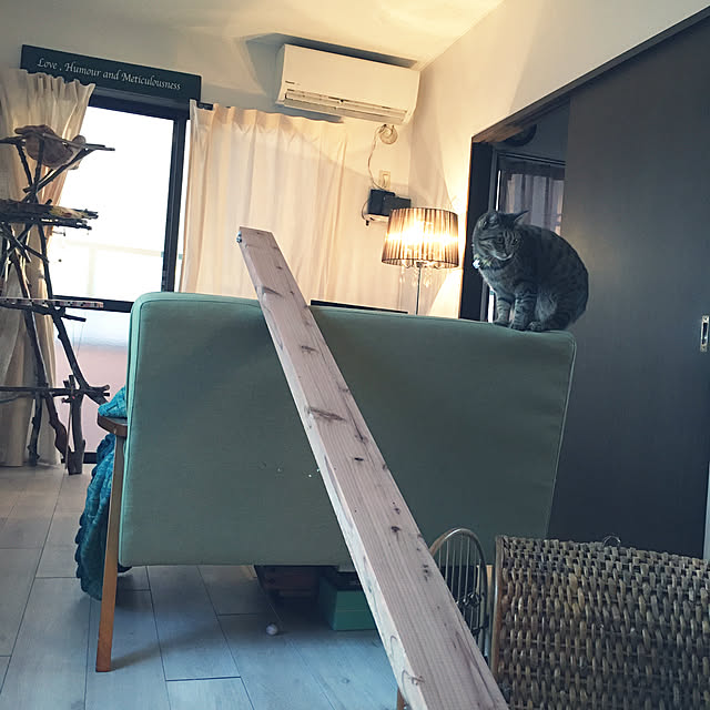 Mさんの実例写真