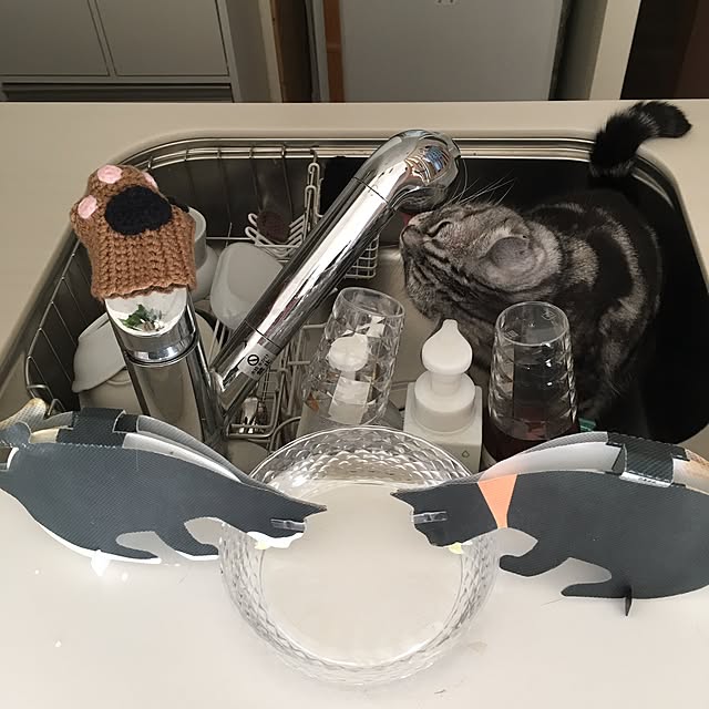 mikomaruさんの実例写真