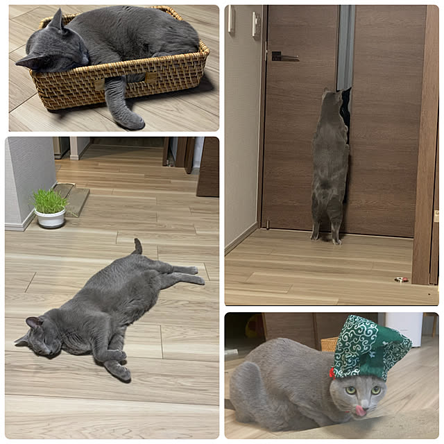 sayuuuさんの実例写真
