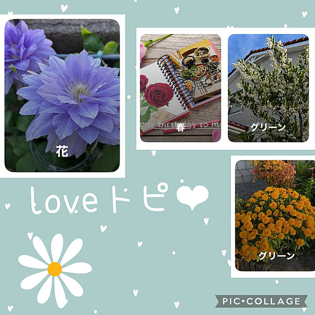 CoCo0617さんの実例写真