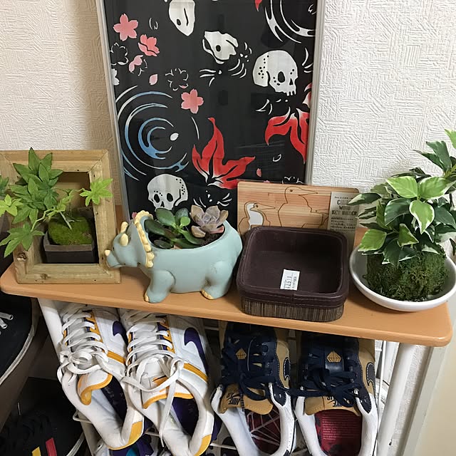 Shinichiさんの実例写真