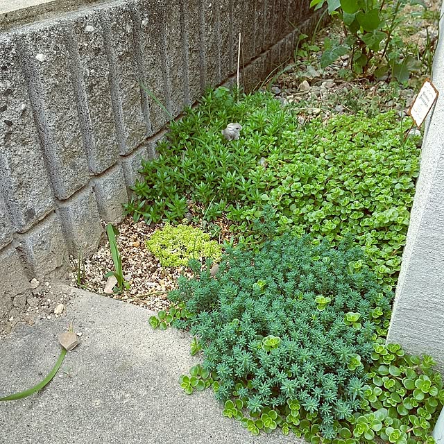 meiさんの実例写真