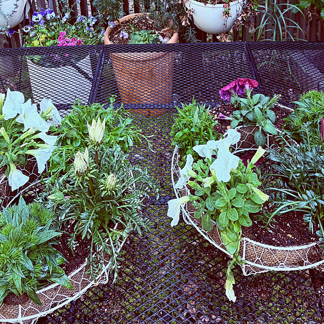 chacoさんの部屋