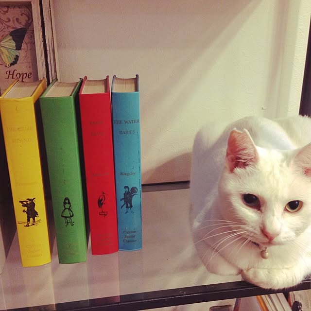 S-CUBEさんの実例写真