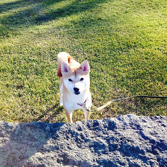 mimiさんの実例写真
