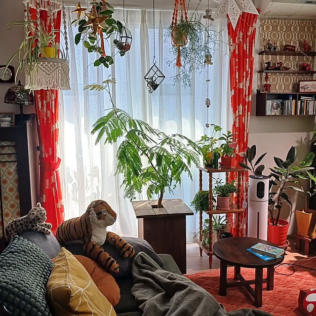 funnyfaceさんの部屋