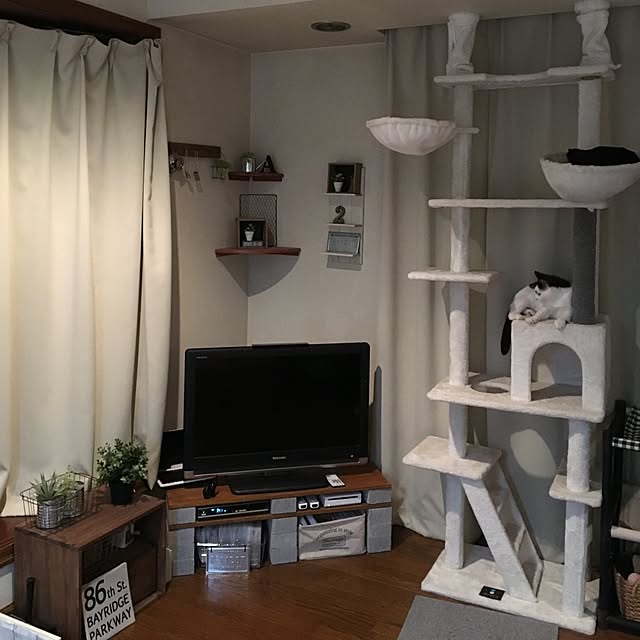 mahi1101さんの実例写真