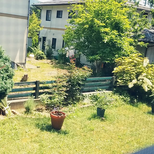 Kinanさんの実例写真