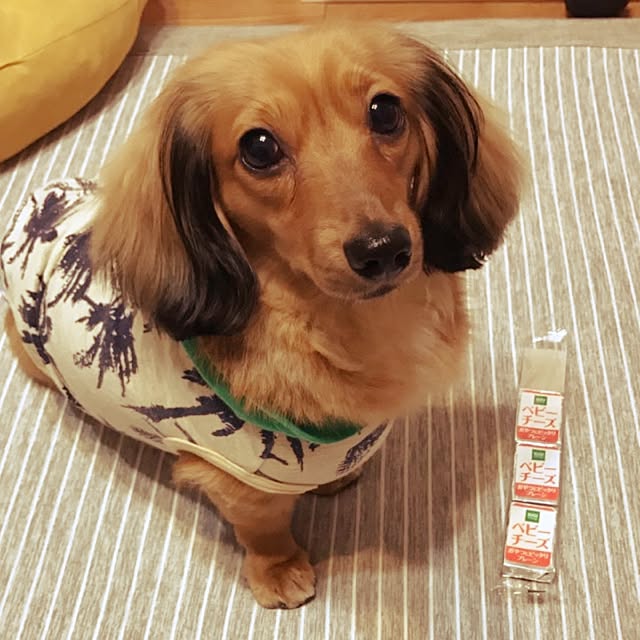 omemu.f.dさんの実例写真