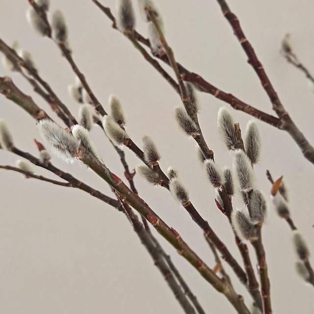 mayumiさんの部屋