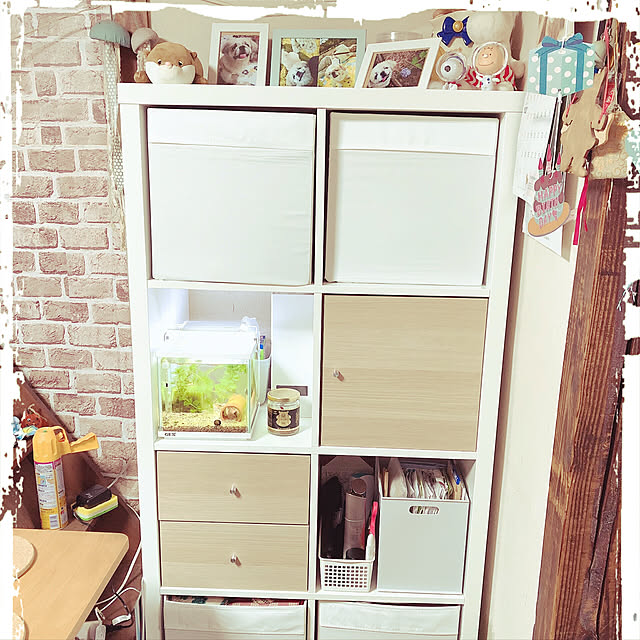 Kammiさんの実例写真