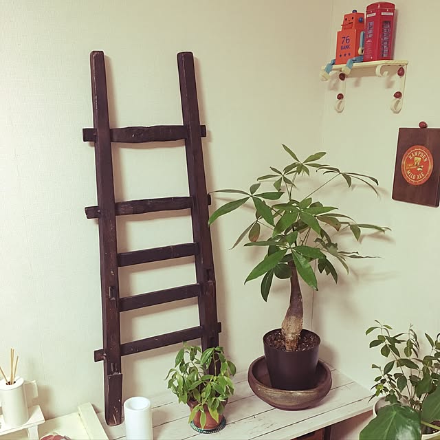 棚/ナチュラル/観葉植物/3COINS/無印良品...などのインテリア実例 - 2016-09-19 00:27:33