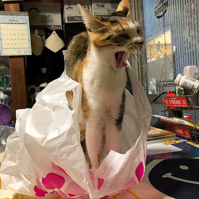 vivienne.coco-keiさんの実例写真