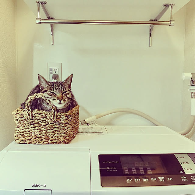 y.roomさんの実例写真