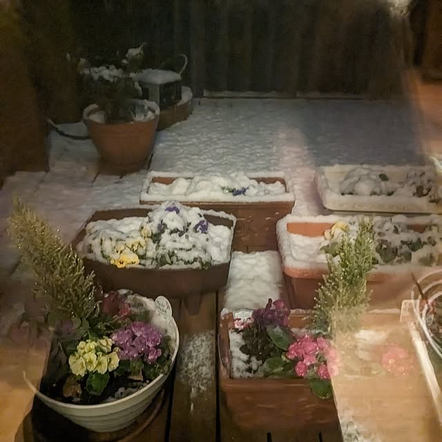 mizuaoi0315さんの実例写真