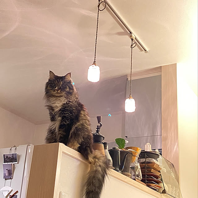 Hisashiさんの実例写真