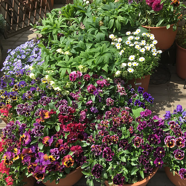 mamizaさんの実例写真