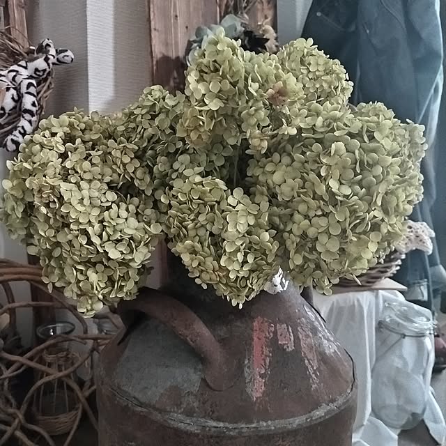 micaさんの部屋