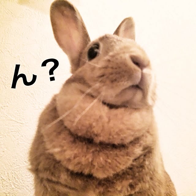 inazaurusuさんの実例写真