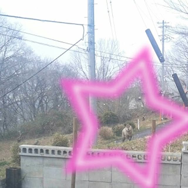 aiuekkoさんの実例写真