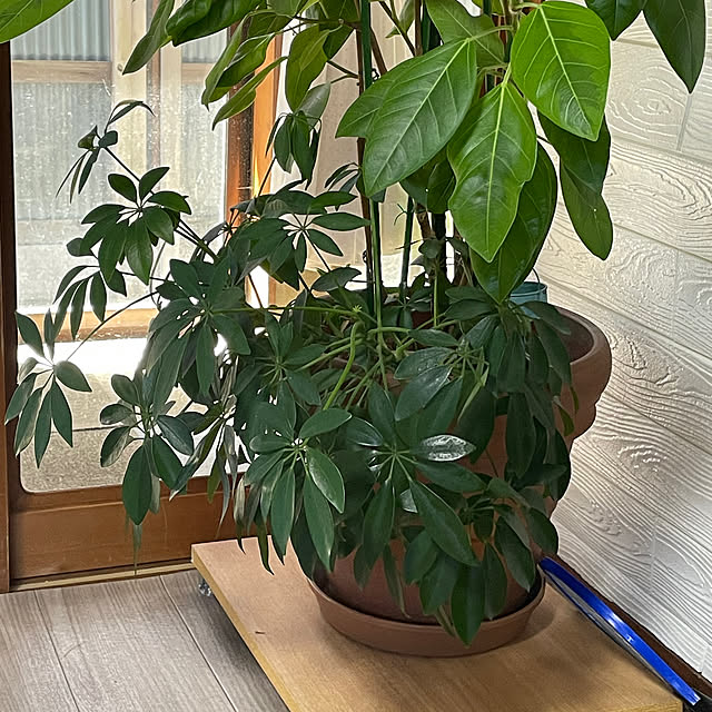 sugichanさんの部屋