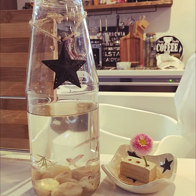 happy129さんの実例写真