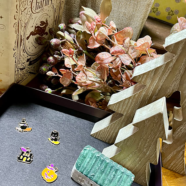 cotaさんの実例写真