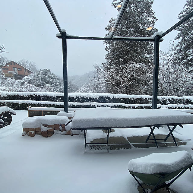 Let-s-DoDoDoさんの実例写真