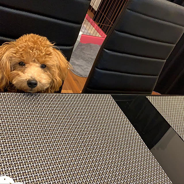 gulutoさんの実例写真