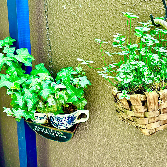 naokoさんの実例写真