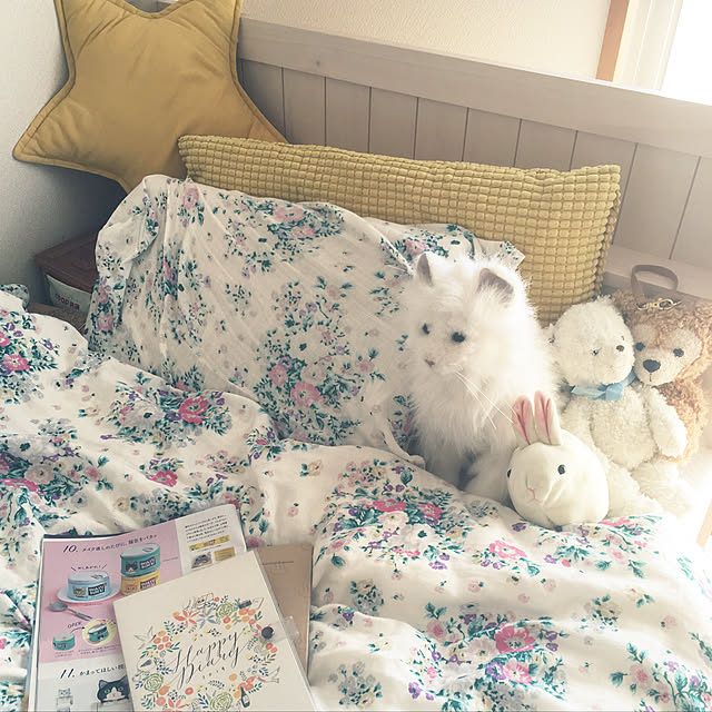 cottoncottonさんの実例写真