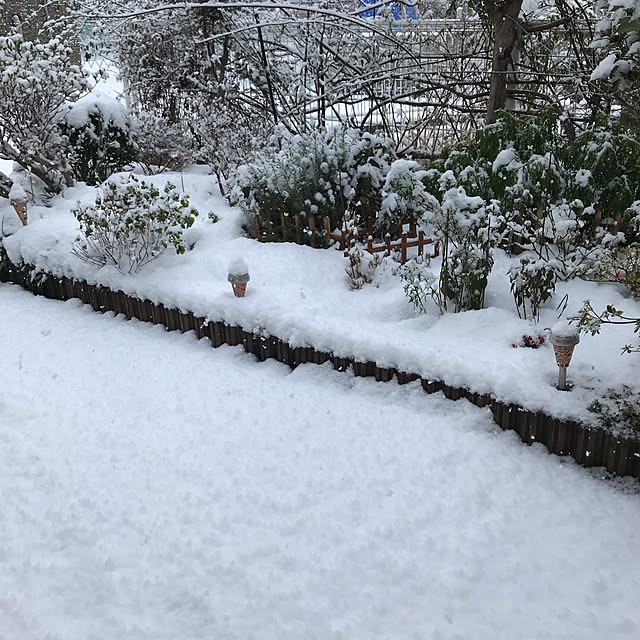 daikichiさんの実例写真