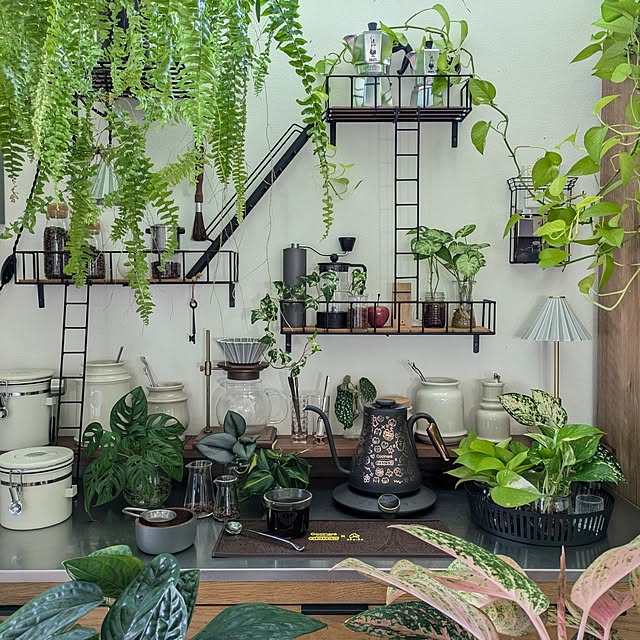 ayamameさんの部屋