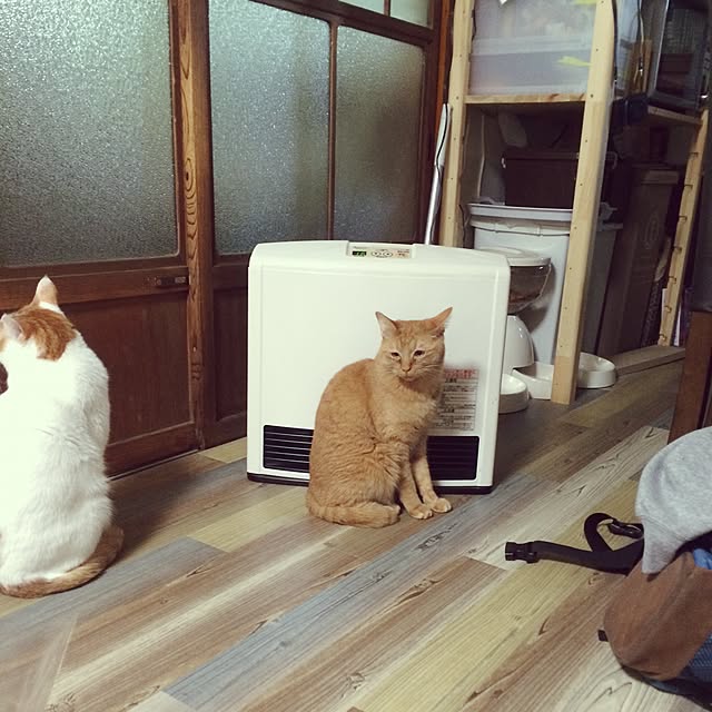 shiroinuさんの実例写真