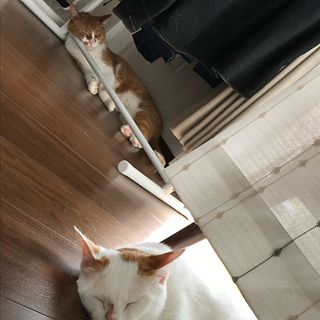 MUGIさんの実例写真