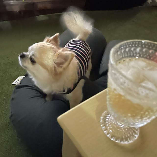 natsumiさんの部屋