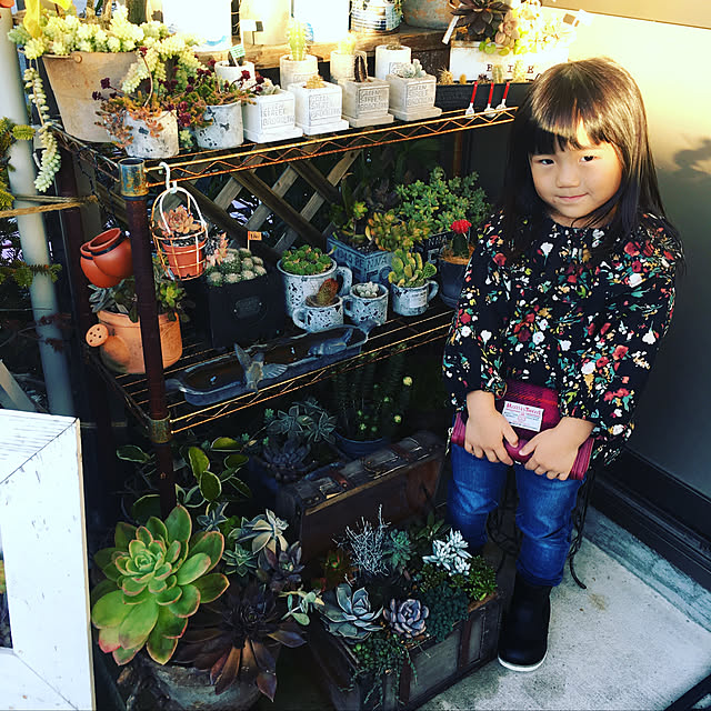 CONIFERさんの実例写真