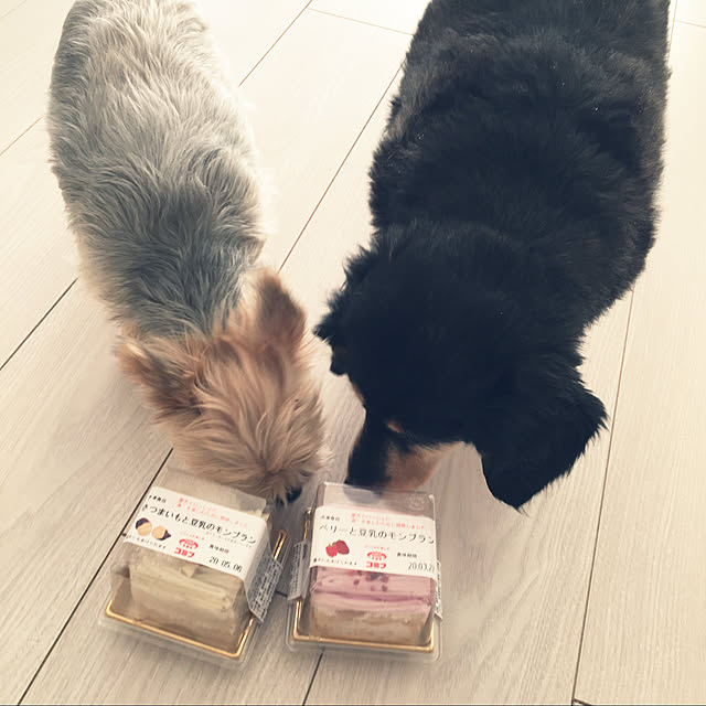 ohanaさんの実例写真