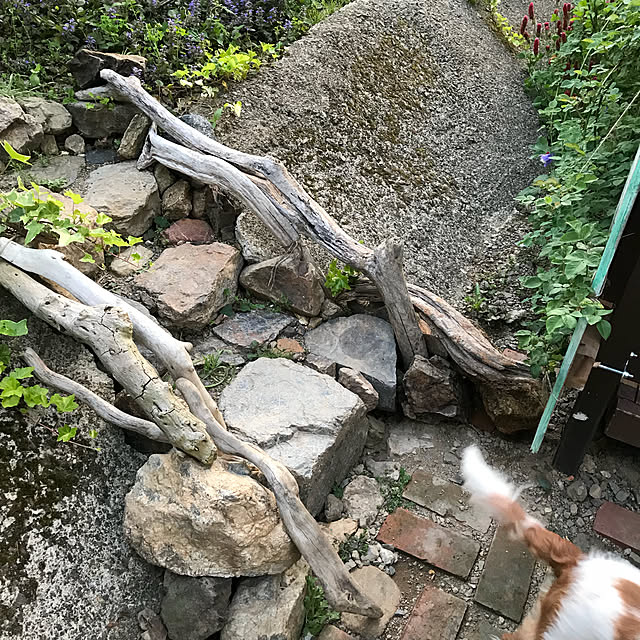 pepeさんの実例写真