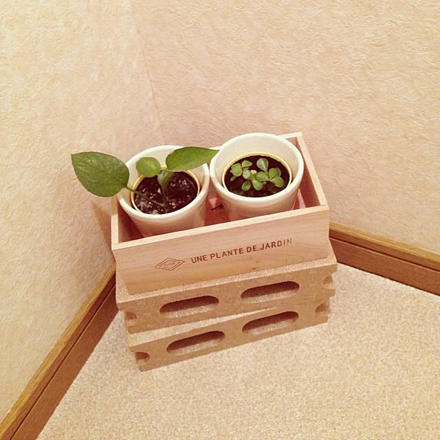 airiさんの実例写真