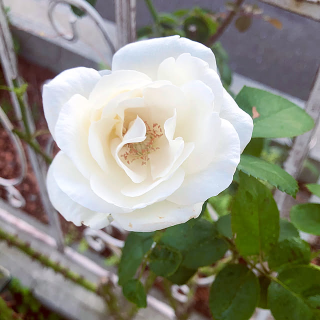 tomoさんの部屋