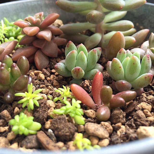 taroさんの実例写真