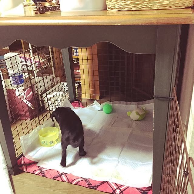 kapiさんの実例写真