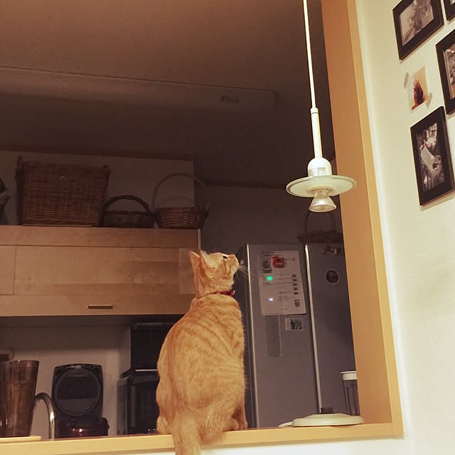 hanaさんの実例写真